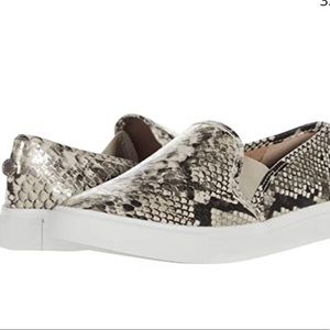 Steve Madden Symba shoes